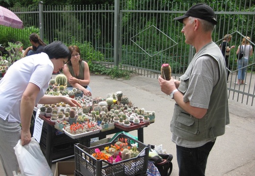 Выставка май 2008