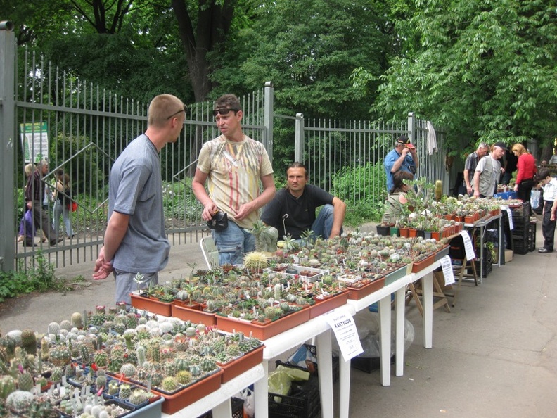 Выставка май 2008