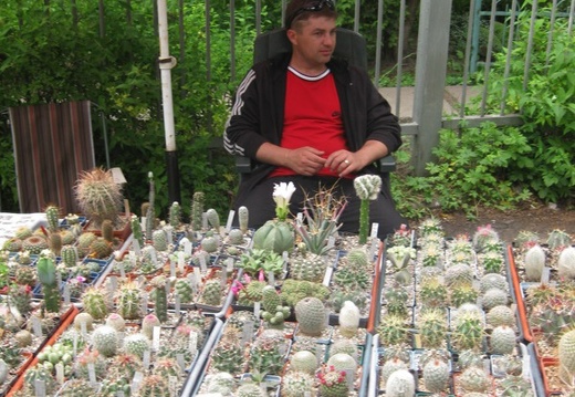 Выставка май 2008