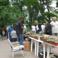 Выставка май 2008 (2387 відвідувань) Фото Лорана Комяти (Кировоград) Выставка май 2008