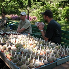 Выставка май 2007 (2823 відвідувань) Фото Алексея Вовк (Киев) Выставка май 2007