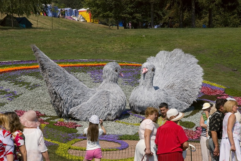 DSC_2558.jpg