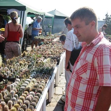 Городская выставка цветов, август 2008 (210 відвідувань) Фото Лорана и Сергея Комяти (Кировоград) Городская выставка цветов, август 2008