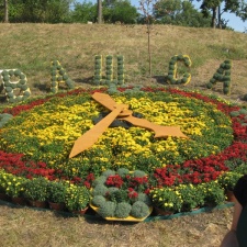 Городская выставка цветов, август 2008 (3198 відвідувань) Фото Лорана и Сергея Комяти (Кировоград)
Городская выставка цветов, август 2008