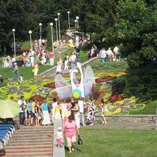 Городская выставка цветов, август 2008 (3157 відвідувань) Фото Лорана и Сергея Комяти (Кировоград) Городская выставка цветов, август 2008
