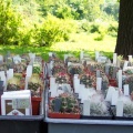 Выставка май 2006 (Киев) (2594 відвідувань) Фото Владимира Иванова (Киев)
Выставка май 2006 (Киев)