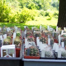 Выставка май 2006 (Киев) (2594 відвідувань) Фото Владимира Иванова (Киев)
Выставка май 2006 (Киев)
