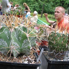 Выставка май 2006 (Киев) (2422 відвідувань) Фото Владимира Иванова (Киев) Выставка май 2006 (Киев)