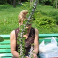 Выставка май 2006 (Киев) (2481 відвідувань) Фото Владимира Иванова (Киев) Выставка май 2006 (Киев)