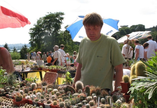 Выставка август 2007 (2710 відвідувань) Сергей Слободянюк (Николаев).
Фото Алексея Вовк (Киев) Выставка август 2007