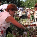 Выставка август 2007 (2663 відвідувань) Покой нам только снится :). 26-е - поток посетителей не ре... Выставка август 2007