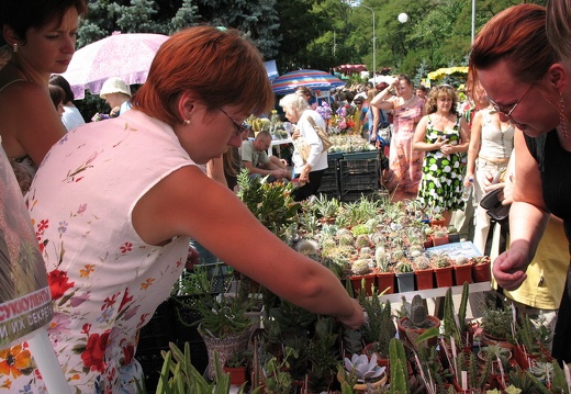 Выставка август 2007 (2670 відвідувань) Покой нам только снится :). 26-е - поток посетителей не ре... Выставка август 2007