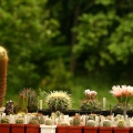 Выставка май 2005 (Киев) (2776 відвідувань) Выставка май 2005 (Киев)