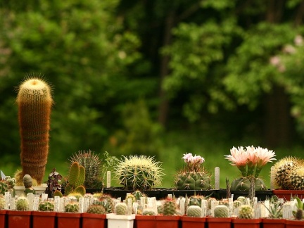 Выставка май 2005 (Киев) (2776 відвідувань) Выставка май 2005 (Киев)