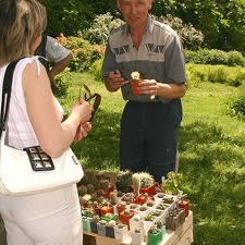 Выставка май 2005 (Киев)