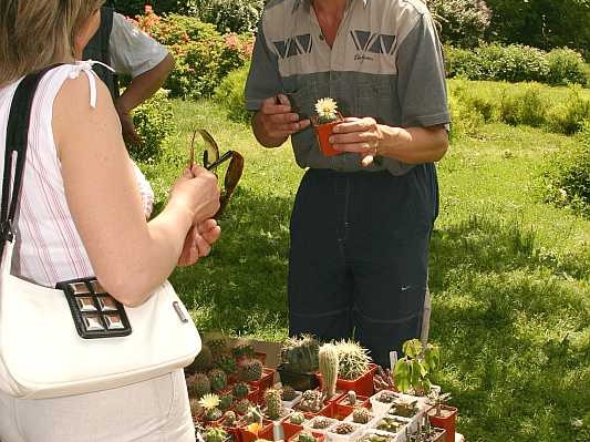 Выставка май 2005 (Киев) (2851 відвідувань) Сергей Червинко (Винница) Выставка май 2005 (Киев)