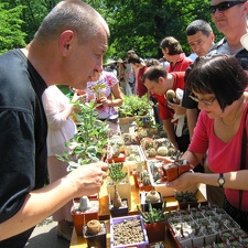 Выставка май 2005 (Киев) (2501 відвідувань) Юрий Сушак (Донецк)
Фото Виктора Зиньковича (Киев)
Выставка май 2005 (Киев)