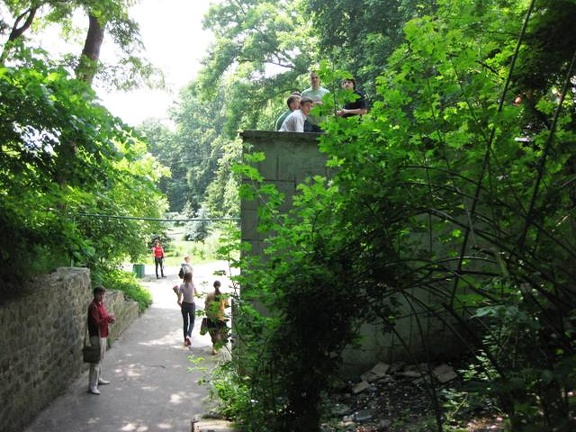 Выставка май 2009 (2821 відвідувань) Фото Лорана Комяти (Кировоград)
Выставка май 2009