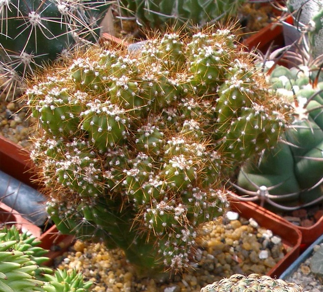 P9023551.JPG