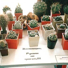 Выставка 2 августа 2003 (2581 відвідувань) Фото Ивановой Елены (Киев)
Выставка 2 августа 2003