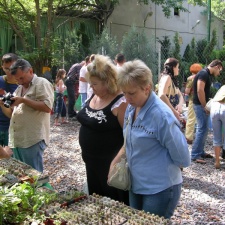 Выставка на День города (02.09.2007) (3051 відвідувань) Фото Александра Тельпешова(Одесса) Выставка на День города (02.09.2007)