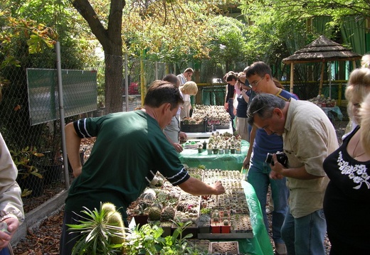Выставка на День города (02.09.2007) (2952 відвідувань) Андрей Непеин (Николаев)
Фото Александра Тельпешова(О... Выставка на День города (02.09.2007)