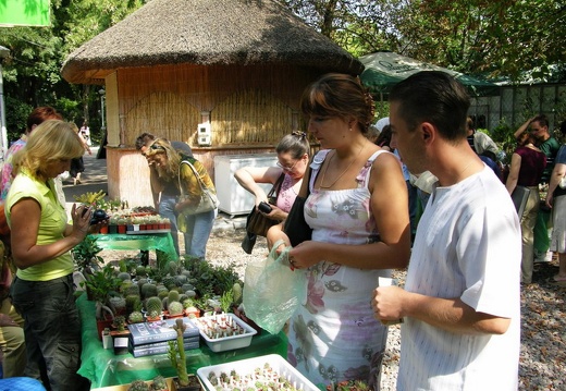 Выставка на День города (02.09.2007) (2862 відвідувань) Фото Александра Тельпешова (Одесса) Выставка на День города (02.09.2007)