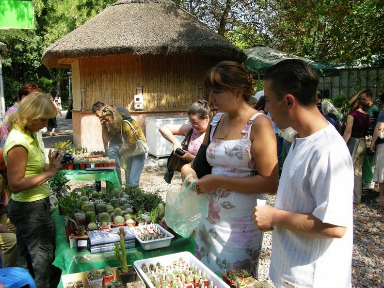 DSCN5284.jpg