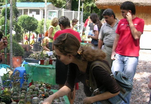 Выставка на День города (02.09.2007) (2860 відвідувань) Фото Александра Тельпешова (Одесса) Выставка на День города (02.09.2007)