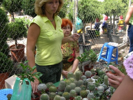 Выставка на День города (02.09.2007) (2836 відвідувань) Ольга Ермак при исполнении :)
Фото Александра Тельпеш�... Выставка на День города (02.09.2007)