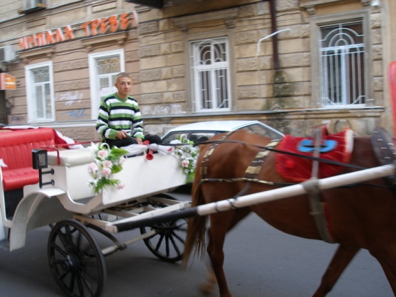 Выставка на День города (02.09.2007) (2902 відвідувань) Фото Ивановой Елены (Киев)
Выставка на День города (02.09.2007)