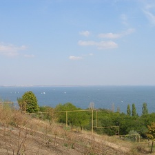 Выставка на День города (02.09.2007) (3022 відвідувань) "Когда я пою о широком просторе...
...Со мною везде тв�... Выставка на День города (02.09.2007)