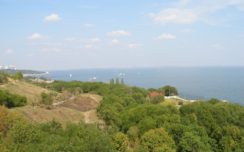P1010136.jpg