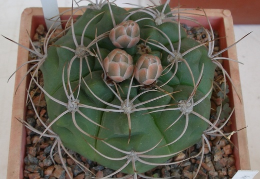 09 may 2012
