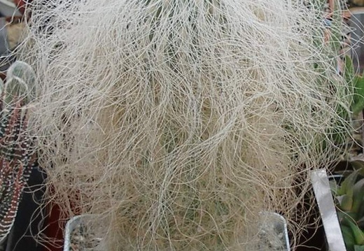 Выставка 15-17.04.2011 в &quot;Ваш сад&quot;