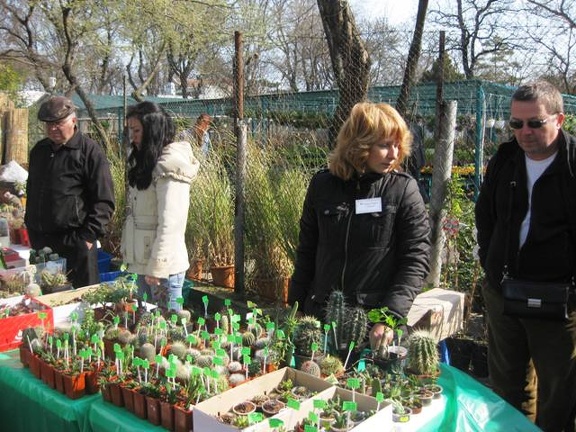 Выставка 11-12 апреля 2009 (Одесса) (2705 відвідувань) Фото Лорана Комяти (Кировоград) Выставка 11-12 апреля 2009 (Одесса)