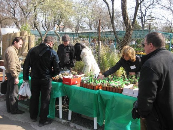 Выставка 11-12 апреля 2009 (Одесса) (2670 відвідувань) Фото Лорана Комяти (Кировоград) Выставка 11-12 апреля 2009 (Одесса)