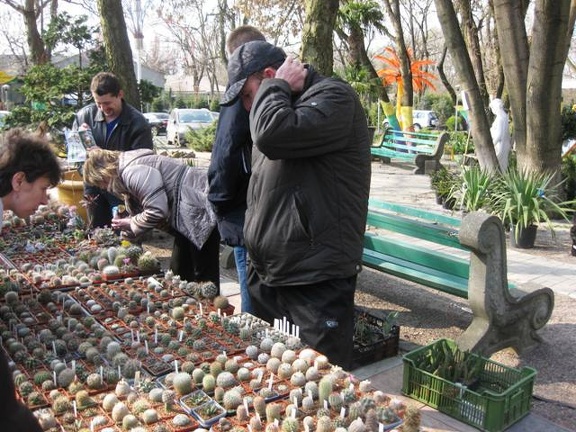 Выставка 11-12 апреля 2009 (Одесса) (2730 відвідувань) Фото Лорана Комяти (Кировоград) Выставка 11-12 апреля 2009 (Одесса)