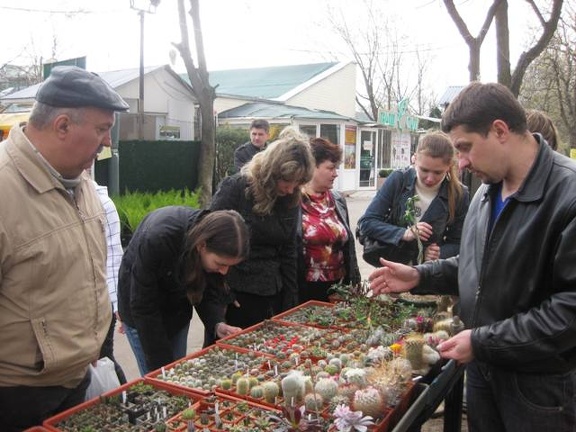 Выставка 11-12 апреля 2009 (Одесса) (2741 відвідувань) Фото Лорана Комяти (Кировоград) Выставка 11-12 апреля 2009 (Одесса)