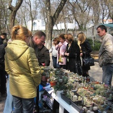 Выставка 11-12 апреля 2009 (Одесса) (2867 відвідувань) Фото Лорана Комяти (Кировоград) Выставка 11-12 апреля 2009 (Одесса)