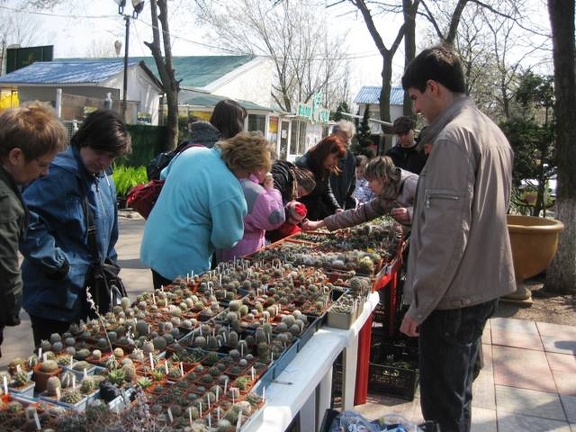 Выставка 11-12 апреля 2009 (Одесса) (2717 відвідувань) Фото Лорана Комяти (Кировоград)
Выставка 11-12 апреля 2009 (Одесса)