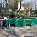 Выставка 11-12 апреля 2009 (Одесса) (2844 відвідувань) Фото Лорана Комяти (Кировоград)
Выставка 11-12 апреля 2009 (Одесса)