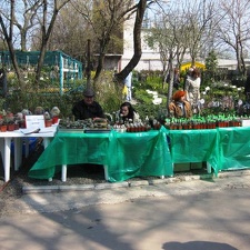 Выставка 11-12 апреля 2009 (Одесса) (2851 відвідувань) Фото Лорана Комяти (Кировоград)
Выставка 11-12 апреля 2009 (Одесса)