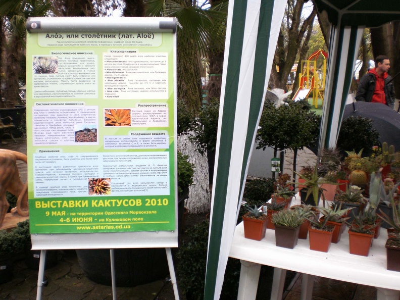 20111125.JPG
