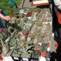 Выставка 19-20 апреля 2008 (Одесса) (2768 відвідувань) Фото Юрия Рыженко (Запорожье) Выставка 19-20 апреля 2008 (Одесса)
