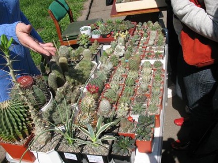 Выставка 19-20 апреля 2008 (Одесса) (2774 відвідувань) Фото Юрия Рыженко (Запорожье) Выставка 19-20 апреля 2008 (Одесса)