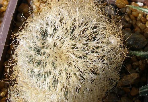 Выставка 20-22.04.2012 в &quot;Ваш сад&quot;