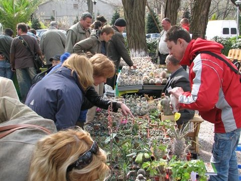 Выставка 21-22 апреля 2007 (Одесса) (2849 відвідувань) Сергей Чеховский (Киев) за работой
Фото Натальи Эллис ... Выставка 21-22 апреля 2007 (Одесса)