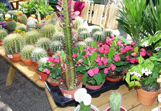 Выставка 21-22 апреля 2007 (Одесса)