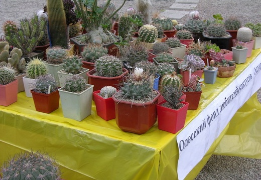 Выставка 21-22 апреля 2007 (Одесса)